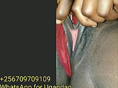 African beauty fingers herself on WhatsApp for complete footage