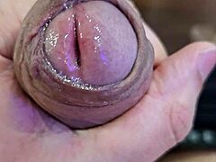 Intimate view of the head of my penis