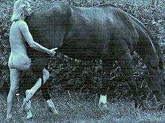 Винтидж красавица и конна езда: Приключение на открито