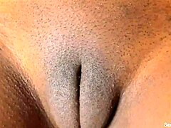 Bibir memek